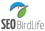 SEO Pins